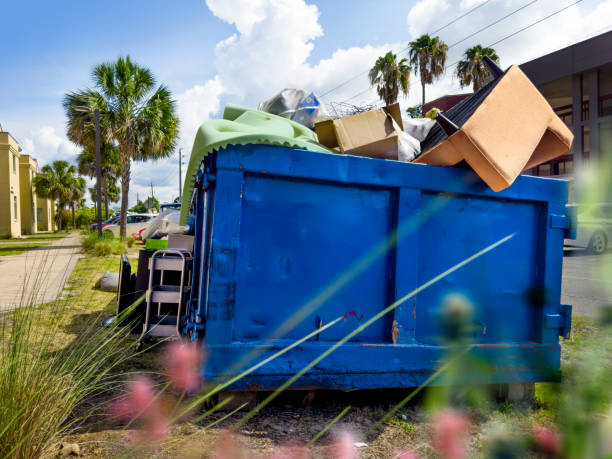 Best Basement Cleanout Services  in Raymondville, TX